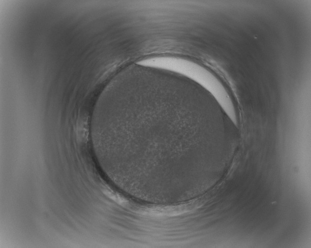 X0000078290017200611172134