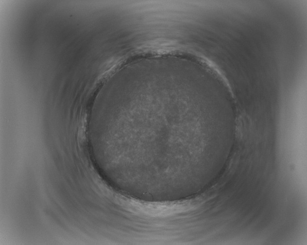 X0000078290018200611172134