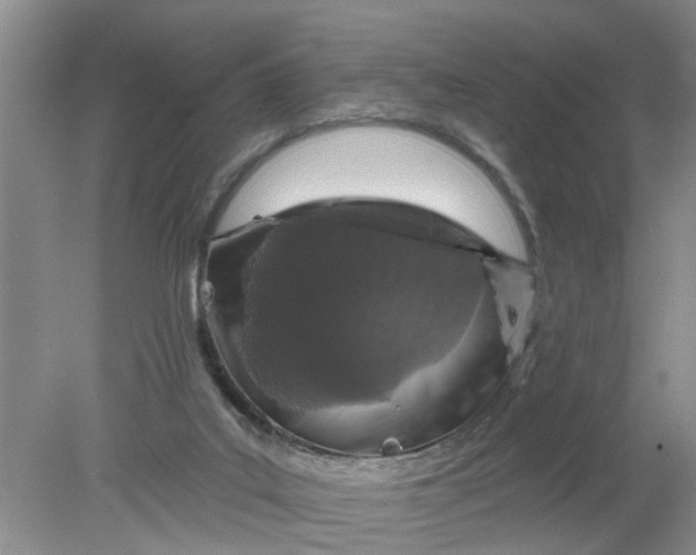 X0000078290019200611172134