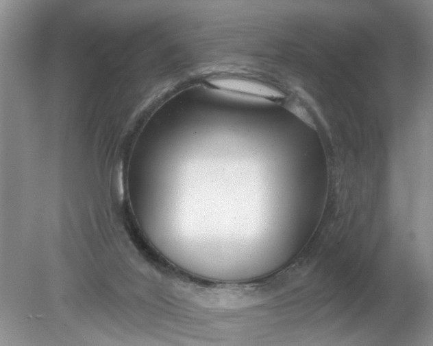 X0000078290020200611172134