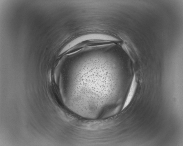 X0000078290021200611172134