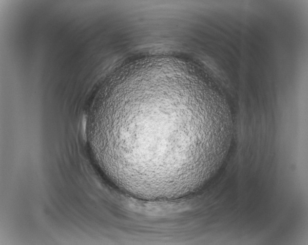 X0000078290022200611172134