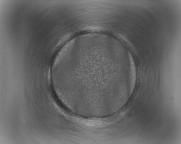 X0000078290024200611172134