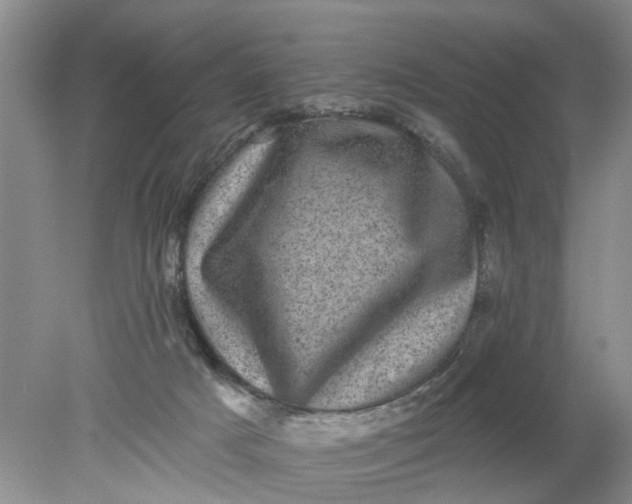 X0000078290025200611172134