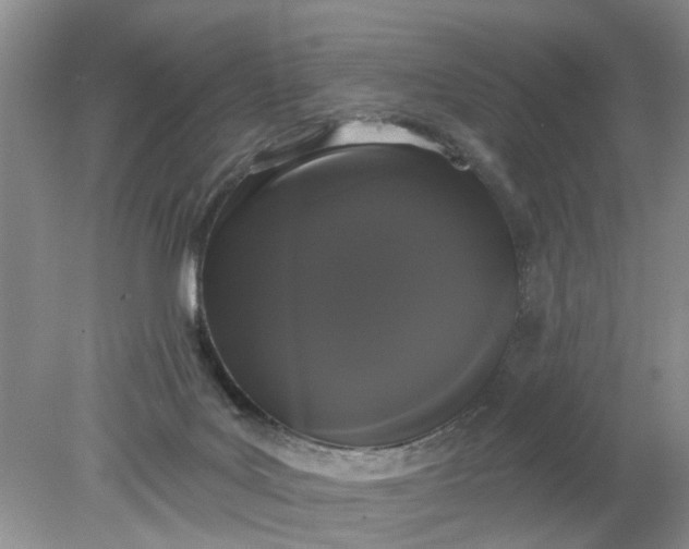 X0000078290027200611172134