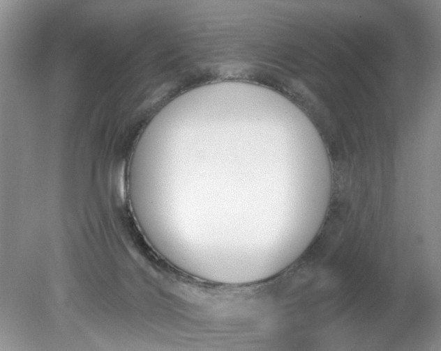 X0000078290028200611172134