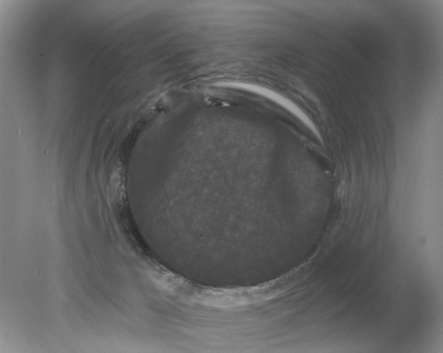 X0000078290029200611172134