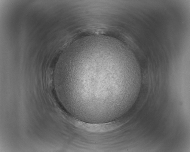 X0000078290030200611172134