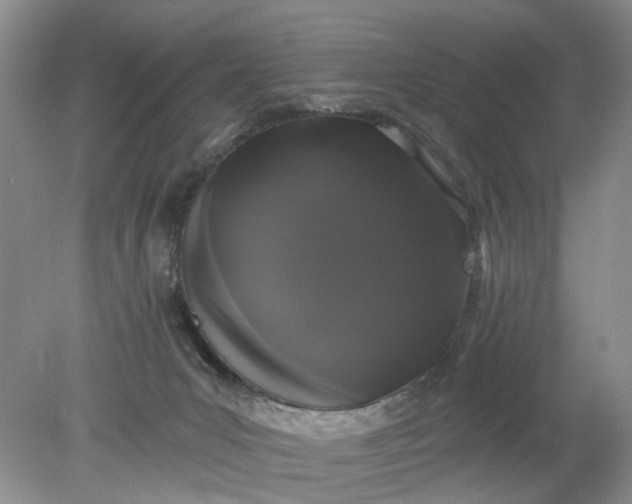 X0000078290031200611172134