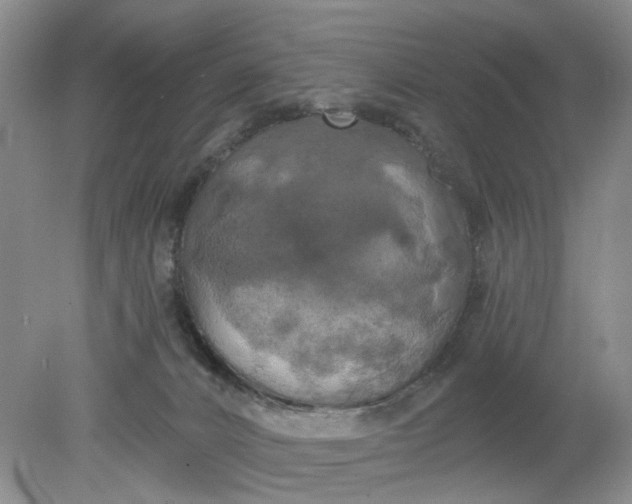 X0000078290032200611172134