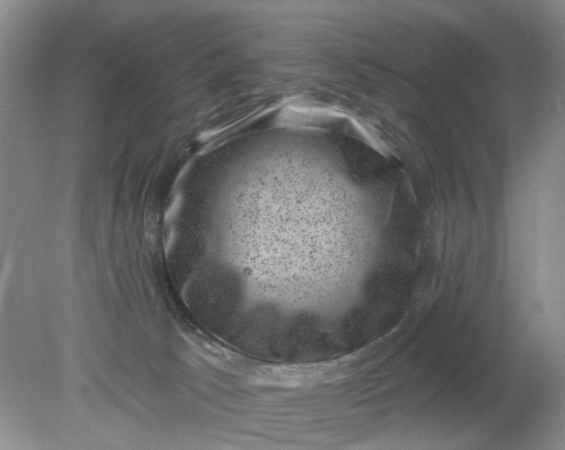 X0000078290033200611172134