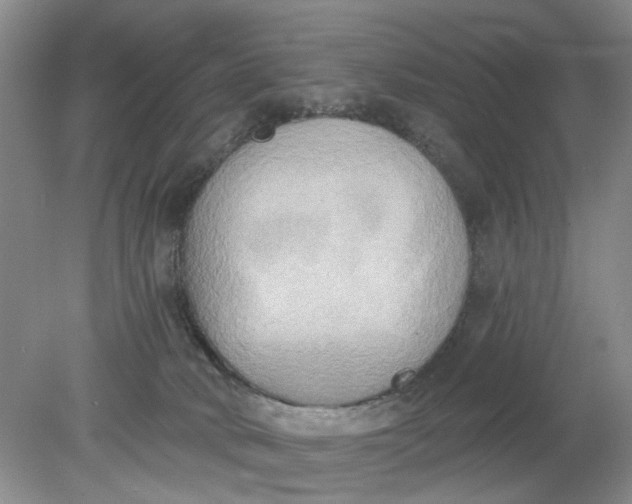 X0000078290034200611172134