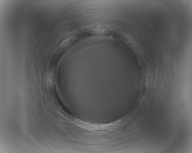 X0000078290035200611172134