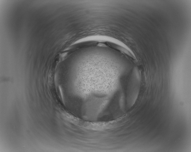 X0000078290037200611172134