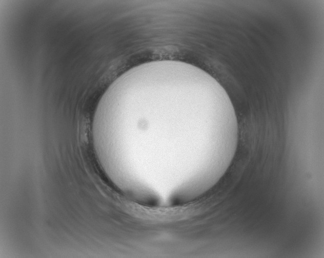 X0000078290038200611172134