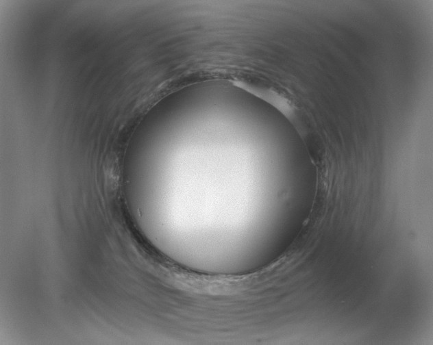 X0000078290040200611172134