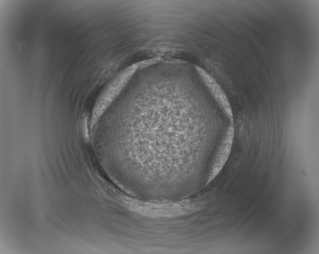 X0000078290042200611172134