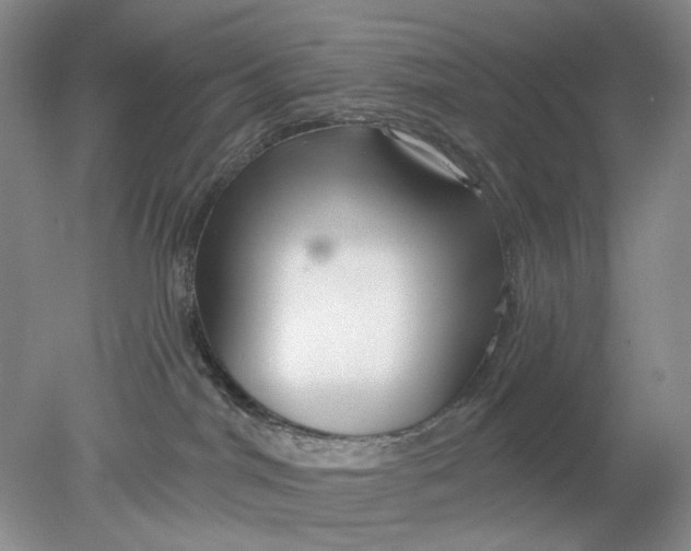 X0000078290044200611172134