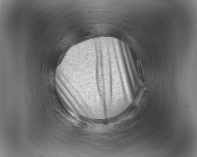 X0000078290045200611172134