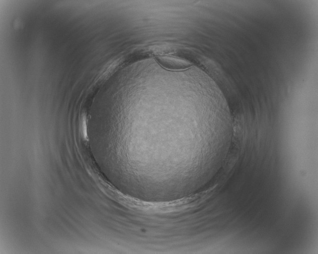 X0000078290046200611172134