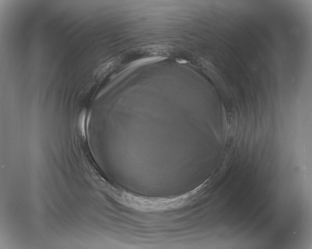 X0000078290047200611172134