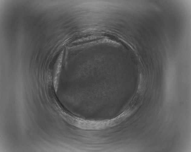 X0000078290048200611172133