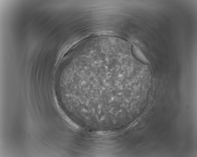 X0000078290049200611172133