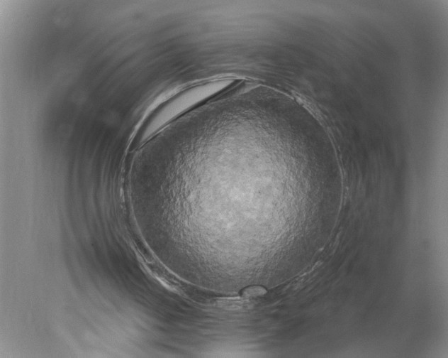 X0000078290050200611172133