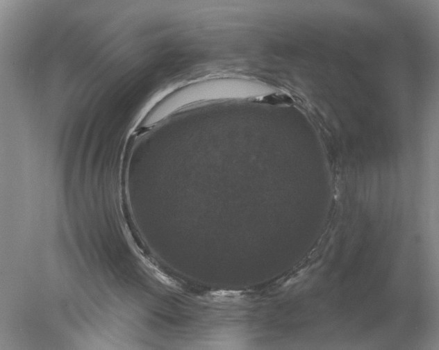 X0000078290052200611172133