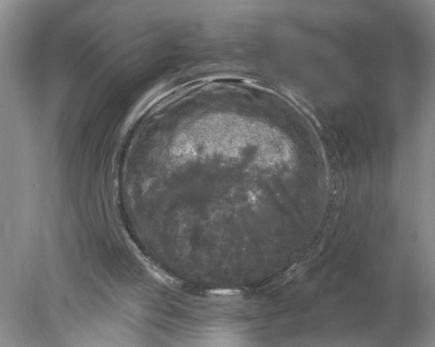 X0000078290053200611172133