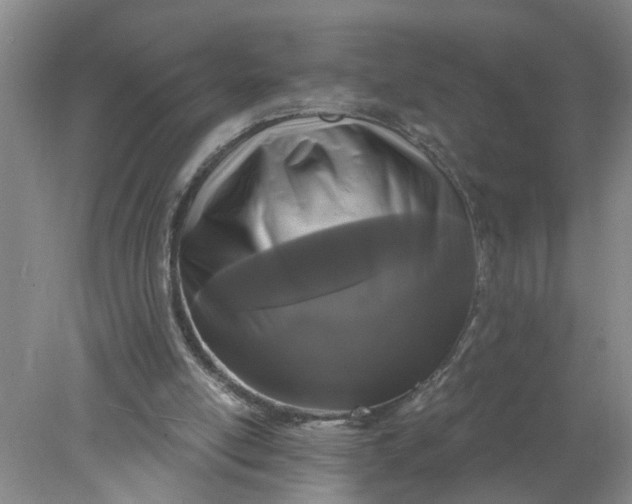 X0000078290054200611172133