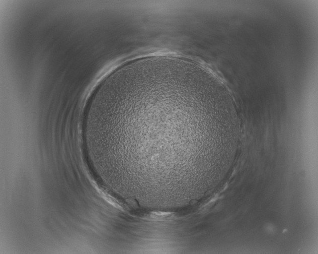 X0000078290055200611172133