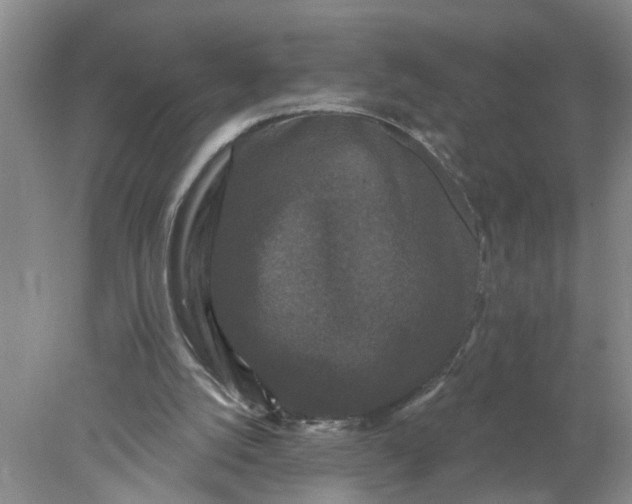 X0000078290056200611172133