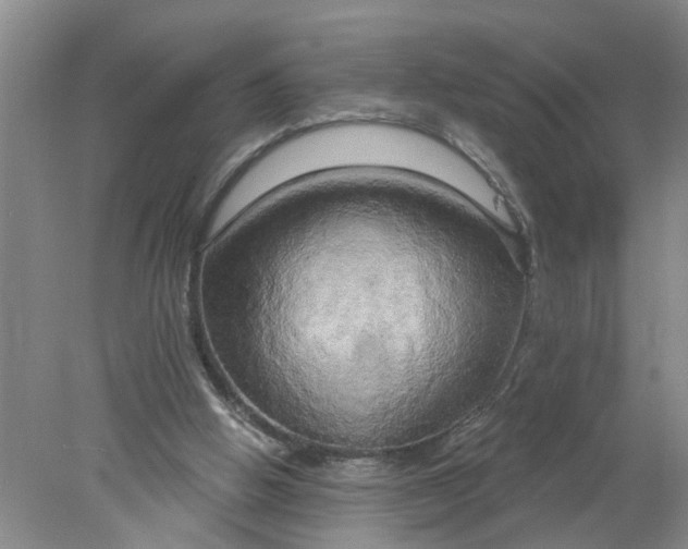 X0000078290058200611172133