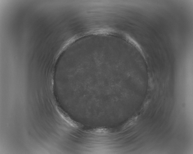 X0000078290059200611172133