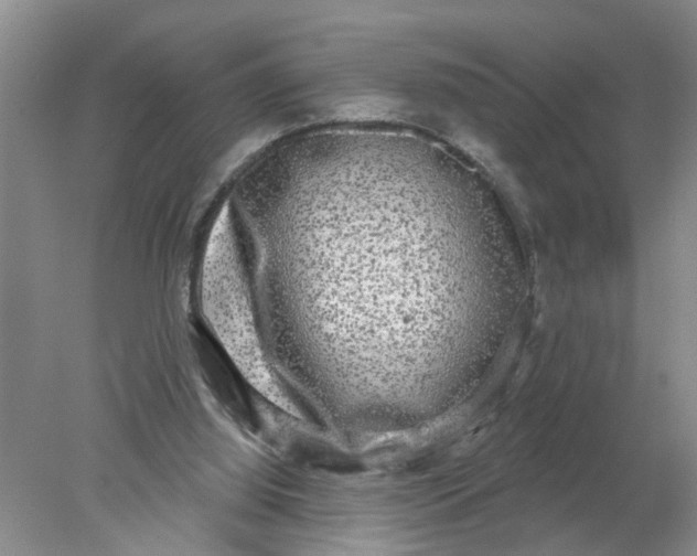 X0000078290060200611172133