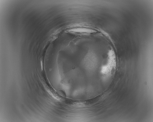 X0000078290061200611172133