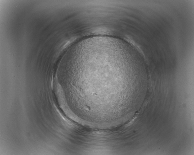 X0000078290062200611172133