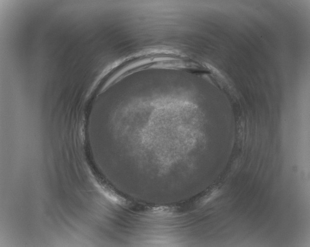 X0000078290064200611172133