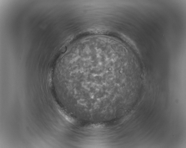 X0000078290065200611172133