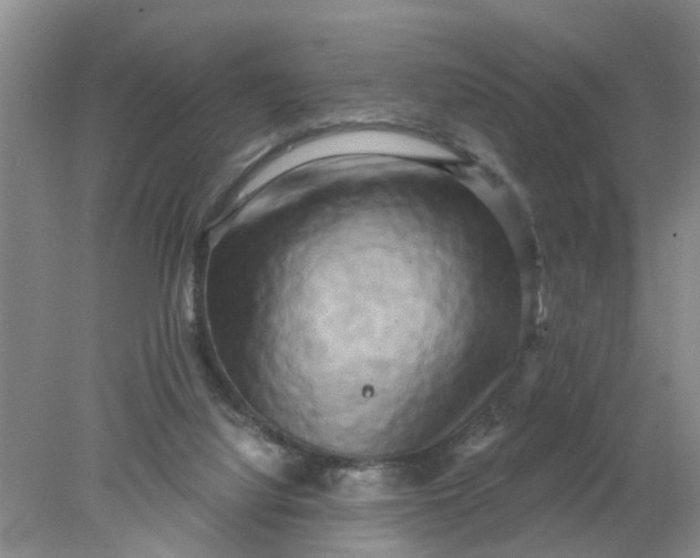 X0000078290068200611172133