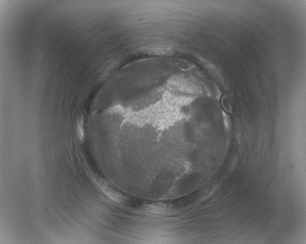 X0000078290069200611172133