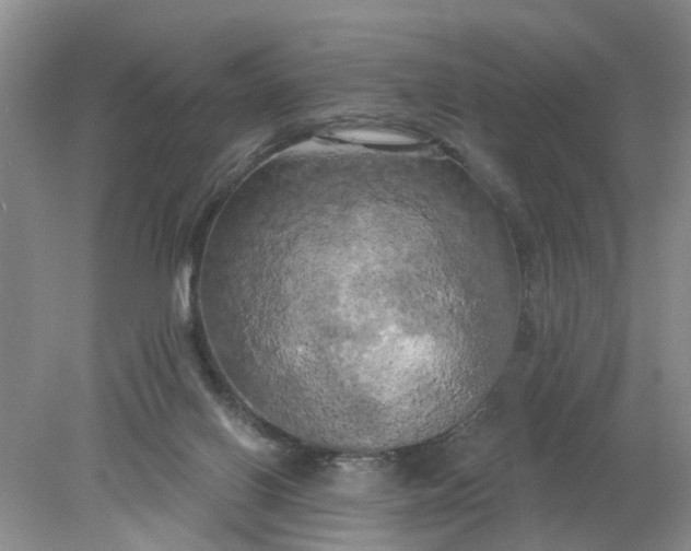 X0000078290070200611172133