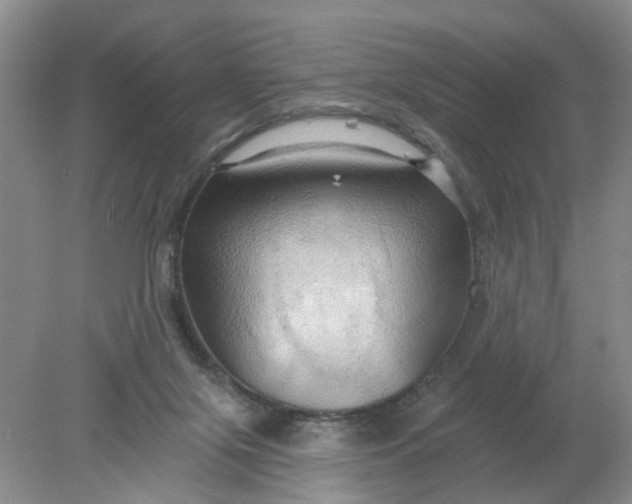 X0000078290071200611172133