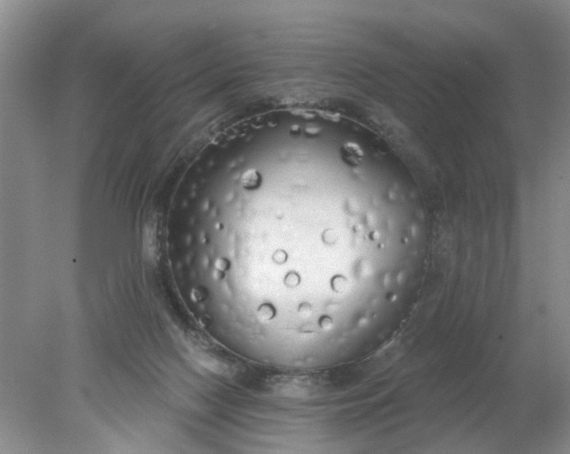 X0000078290074200611172133