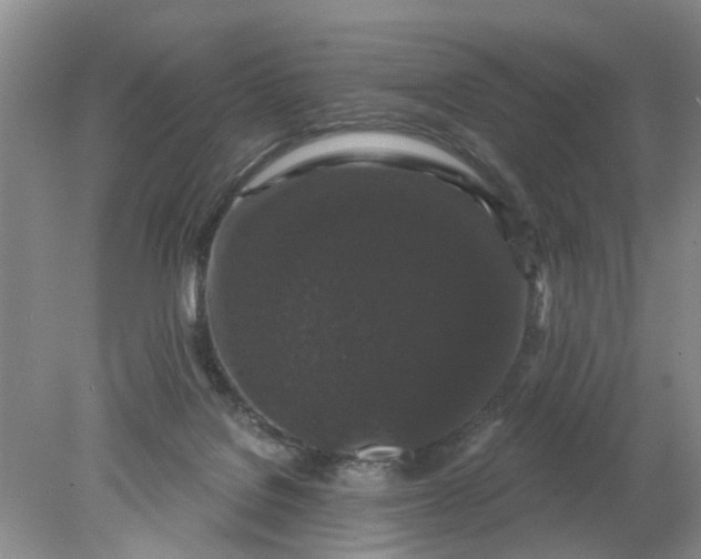 X0000078290076200611172133