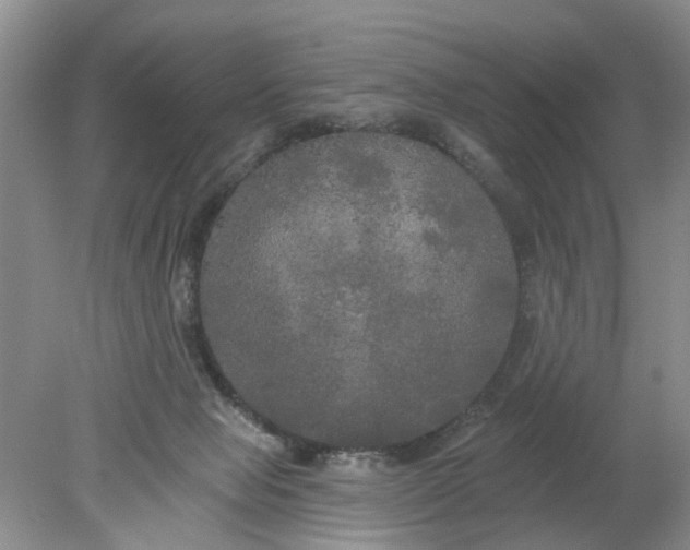 X0000078290077200611172133