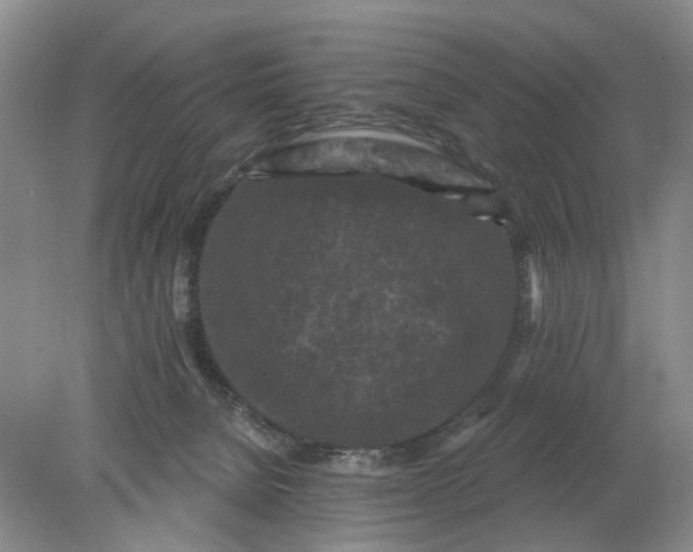 X0000078290080200611172133