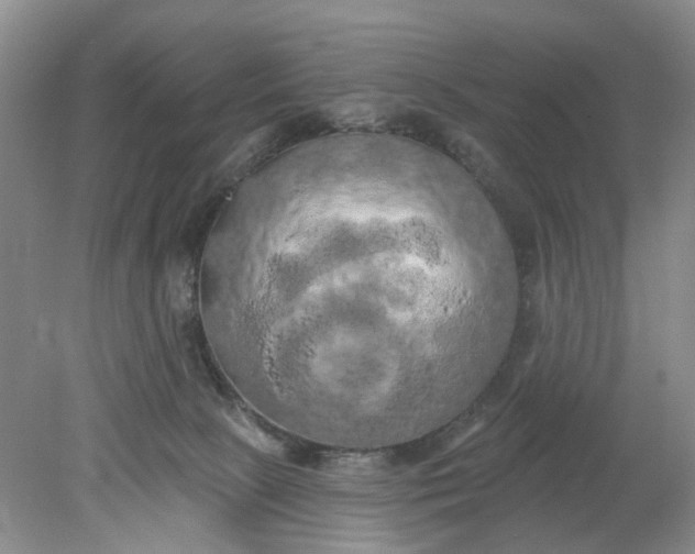 X0000078290081200611172133