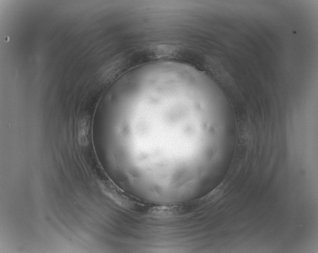 X0000078290082200611172133